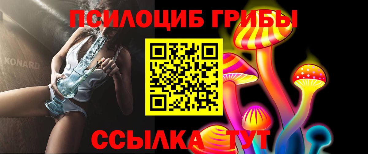 Псилоцибиновые грибы Cubensis  купить   Тында  Вход с VPN 